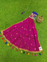 Load image into Gallery viewer, Paithani Gudi Vastra